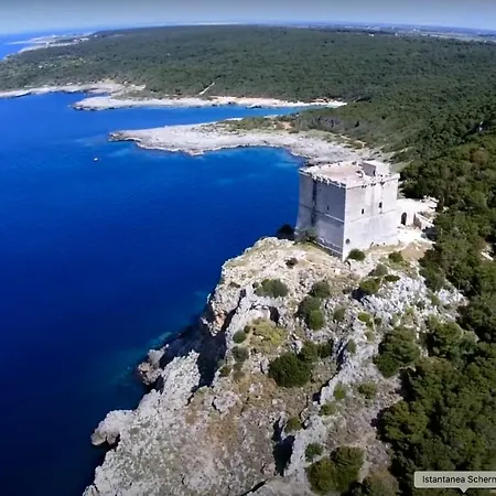 Al Settimo Cielo Nardo